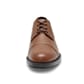 1211_Rel Senator brown_1.jpg