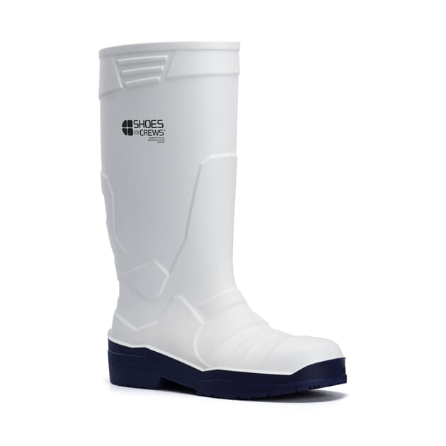 2010B 2010B_Sentinel_white_blue.jpg