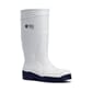 2010B 2010B_Sentinel_white_blue.jpg