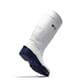 2010B_Rel 2010B_Sentinel_white_blue_3.jpg
